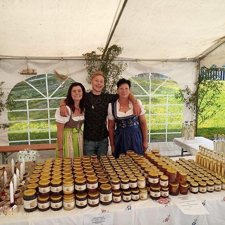 Stallerhof Hüttschlag エクステリア 写真