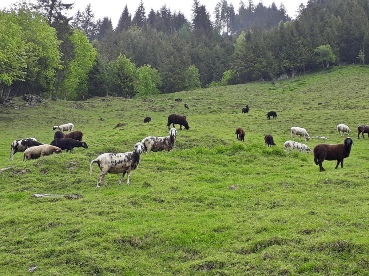 Stallerhof Hüttschlag エクステリア 写真
